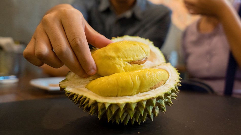 Kementerian Pertanian Genjot Ekspor Neraca Perdagangan Durian