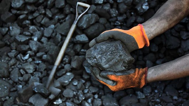 Pemerintah Buka Peluang Batu Bara Metalurgi untuk Kurangi Impor
