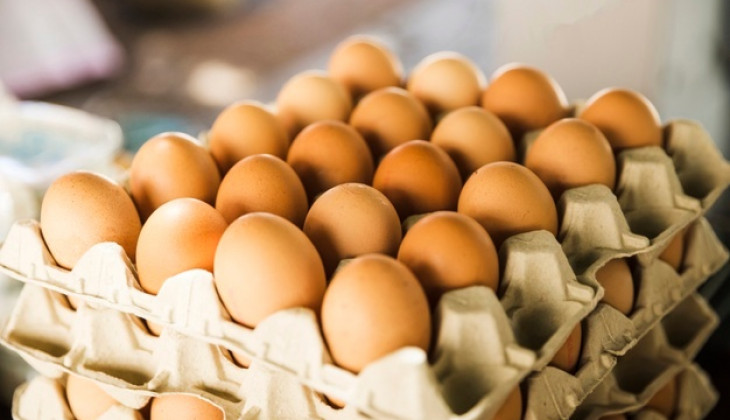 Terus Alami Kenaikan, Harga Telur Ayam Tembus Hingga Rp 30 Ribu